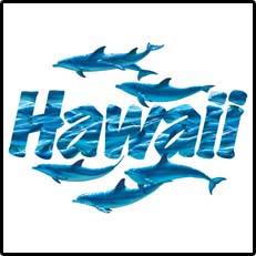 Hawaii T-Shirts