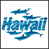 Hawaii T-Shirts Hawaii T-Shirts