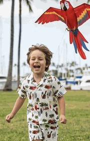 Hawaiian Boy Outfits Woody Palms in White