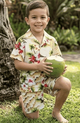 Hawaiian Outfit for Toddler Boys