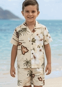 Island Maps Khaki Toddler Boy Hawaiian Outfits 