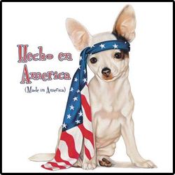 Made in America Fun T-Shirt