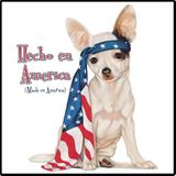 Made in America Fun T-Shirt