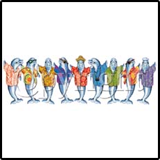 Male Dolphins Band Tees