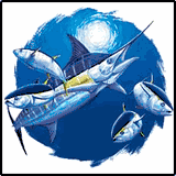 Marlin & Tuna Fishing Tees Marlin & Tuna Fishing Tees
