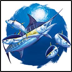 Marlin & Tuna Fishing Tees