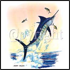 Marlin with Tuna Tees