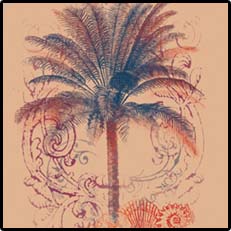 Palm With Shells