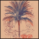 Palm With Shells Palm With Shells