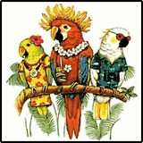 Parrot Tourists Hawaiian T-Shirts Parrot Tourists Hawaiian T-Shirts