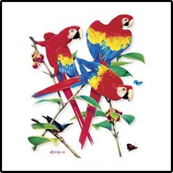 Parrots Hawaiian Tropical T-Shirts Parrots Hawaiian Tropical T-Shirts