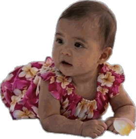 Plumeria Hawaii Baby Girl Dress Set 3932Pink