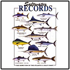 Saltwater Records Fishing Tees