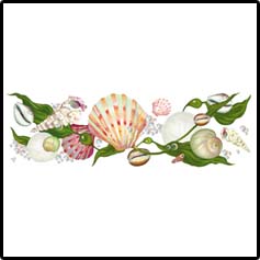 Sea Shell Stripe Hawaiian Tees