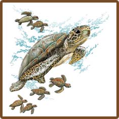 Sea Turtle Tropical Tees