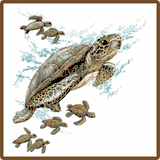 Sea Turtle Tropical Tees