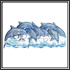 Splasing Dolphins T-Shirts