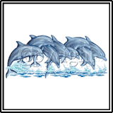 Splasing Dolphins T-Shirts