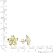 Sterling Silver Gold Plated CZ Plumeria Stud Earrings Hawaii