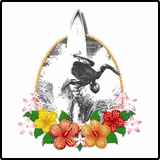 Surfer Paradise T-Shirts Surfer Paradise T-Shirts