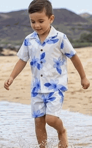 Toddler Boys Hawaiian Clothes Blue Plumerias 