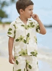 Toddler Boys Hawaiian Clothes Lime Plumerias 