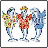 Tourist Dolphins Tropical Tees Tourist Dolphins Tropical Tees