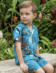 Tropical Fish Toddler Boy Sets 3928Aqua
