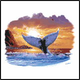 Whale Tail Tropical Aloha T-Shirts Whale Tail Tropical Aloha T-Shirts