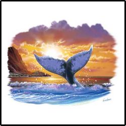 Whale Tail Tropical Aloha T-Shirts