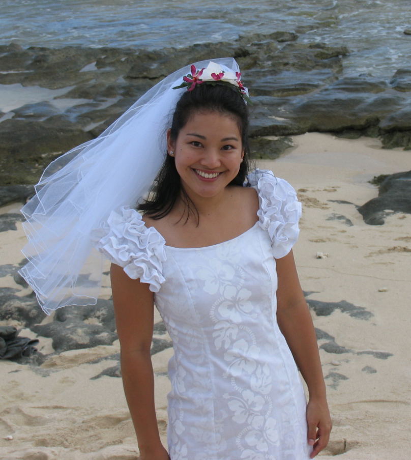 beach wedding dress with veil Backless Halter Lace A-Line High Neck Chiffon Wedding Dress US10 / As Picture main image 0