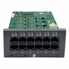 12 Port Analog DS