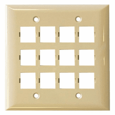 Face Plate, Double Gang, 12 Port