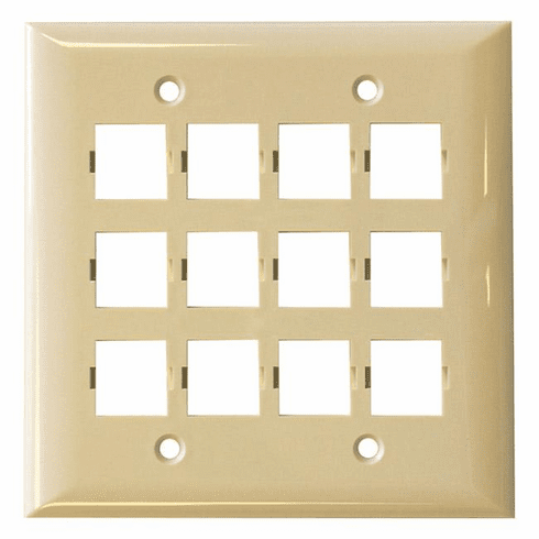 Face Plate, Double Gang, 12 Port