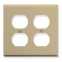 Face Plate for IC107DPI, Double Gang-(xx=color)