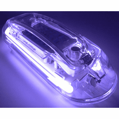 Golden Eagle Electronics NP778 Purple