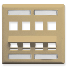 IC107 Faceplate w/Angled bottom and station ID 8 Ports (xx=color)