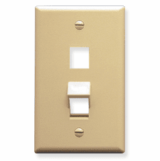 ICC IC107AF2IV Face Plates Angled Faceplate
