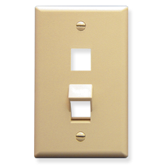 ICC IC107AF2IV Face Plates Angled Faceplate
