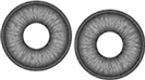 19025-01
