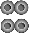 Plantronics 64621-01 Ear Cushion Kit