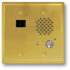 Polished Brass Double Gang Entry Phone with Color Video Camera and Enhanced Weather Protection
