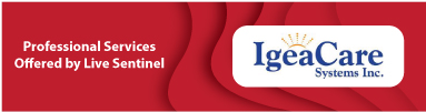 Professional Services offered by Live Sentinel