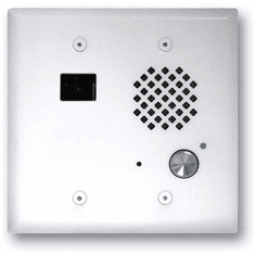 Satin White Double Gang Entry Phone with Color Video Camera