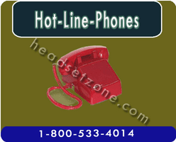 Viking Hotline Kiosks Phones