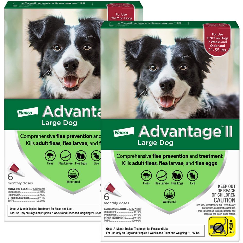 Do Puppies Need Flea Treatment