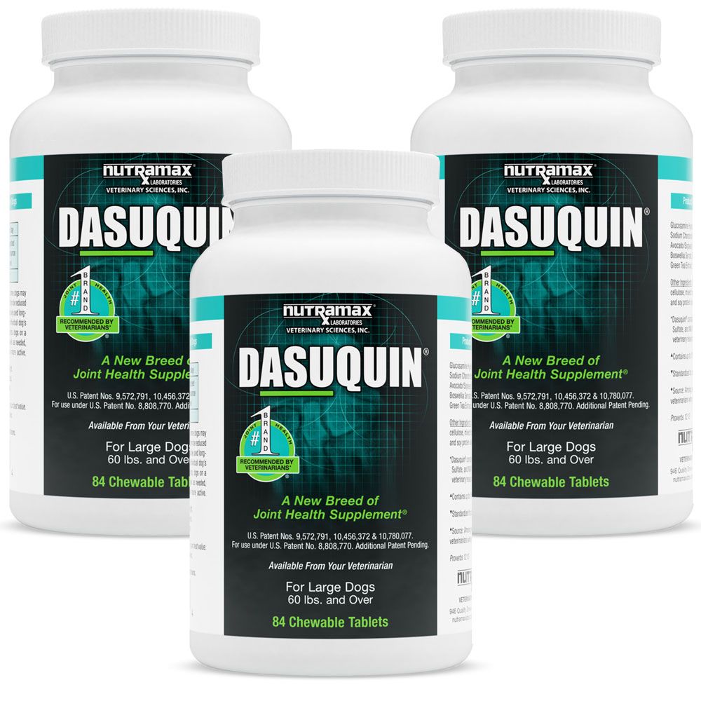 Nutramax Dasuquin Joint Health Supplement for Large Dogs With