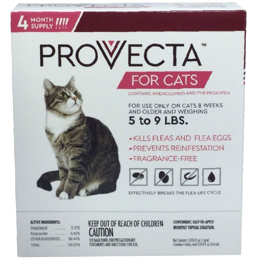4 MONTH Provecta Advanced for Cats (59 lbs) Healthypets
