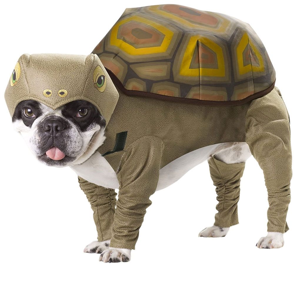 Animal Tortoise Dog Costume, Small On Sale HealthyPets