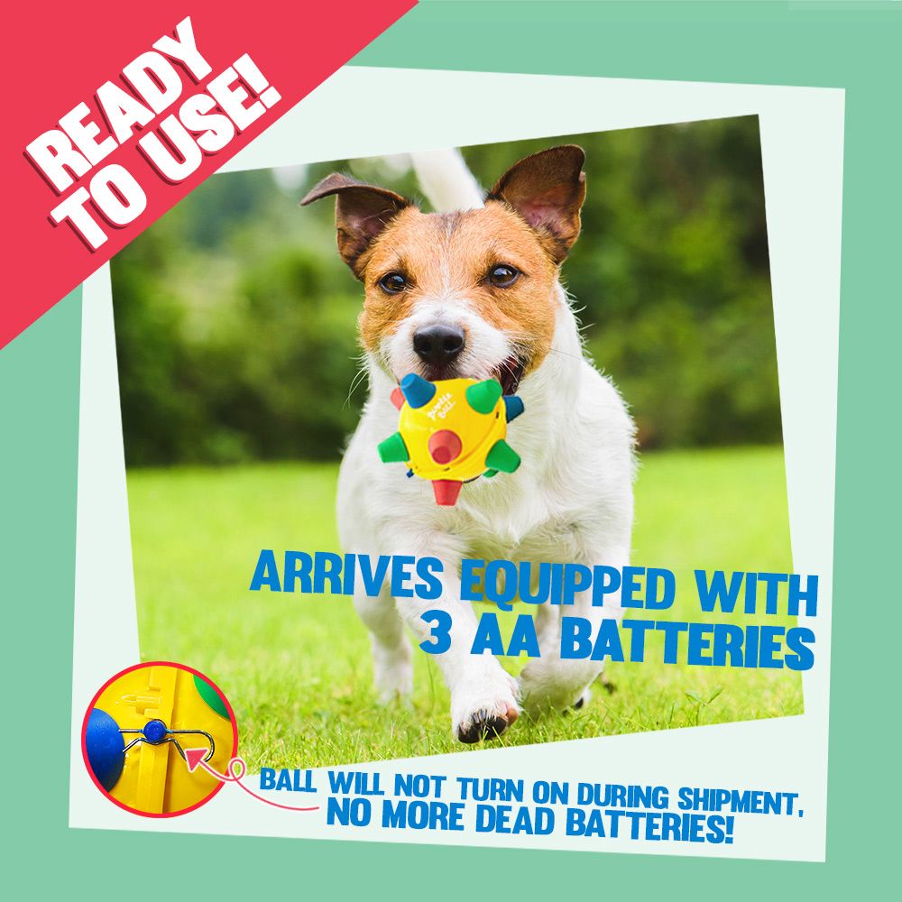 Bumble Ball Motorized Dog Toy On Sale HealthyPets